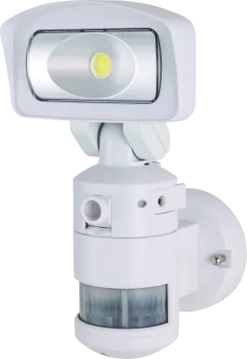 Nightwatcher Robotic LED Security Light with Camera