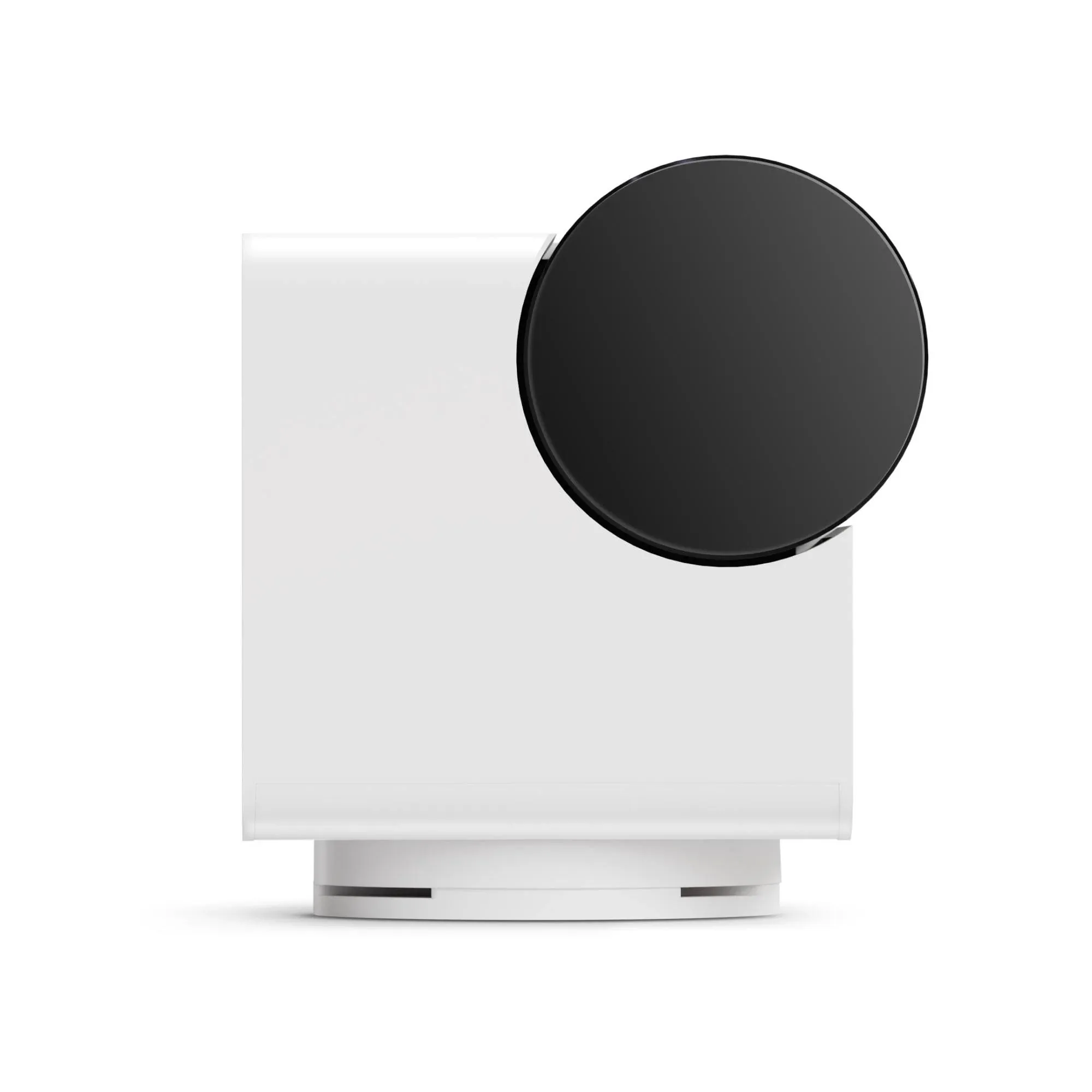 PetCube Pet Cam 360