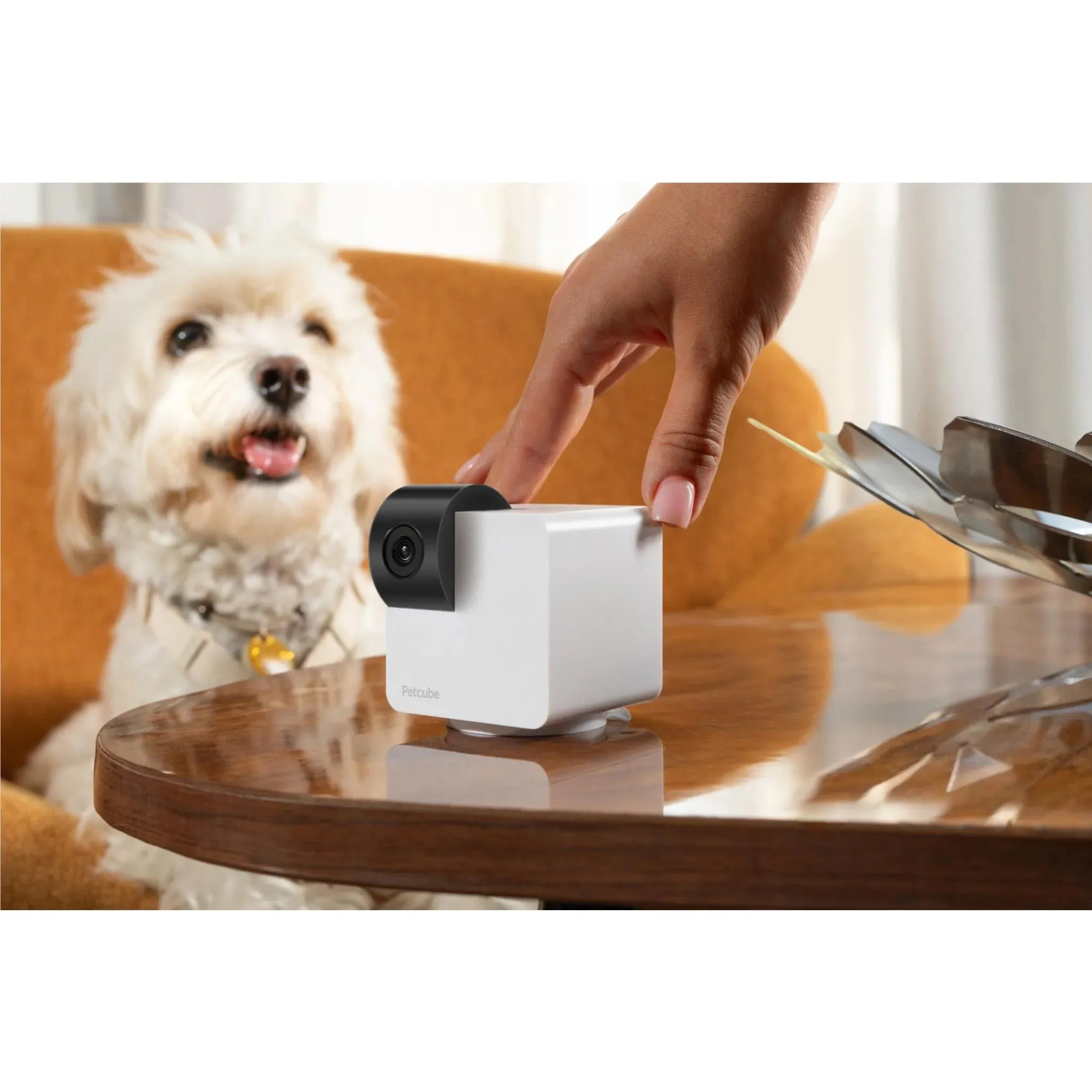 PetCube Pet Cam 360