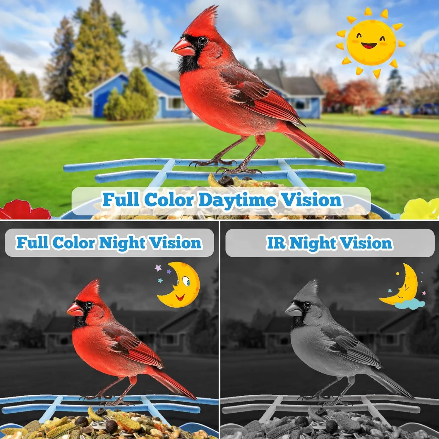 Solar Smart Bird Feeder Outdoor Spy Camera with Night Vision